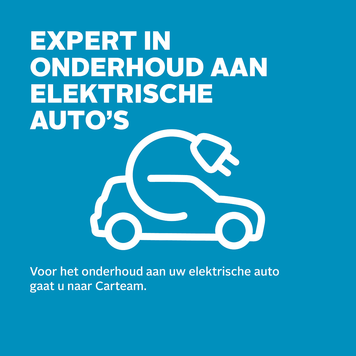 Carteam Autoservice Peter Luik
